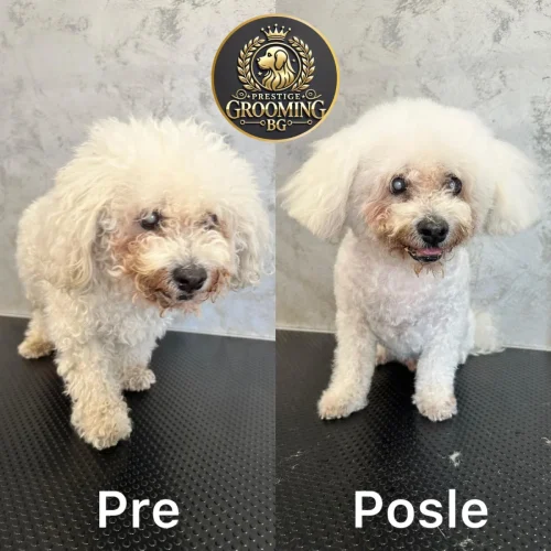 Vizuelna razlika pre i posle salona